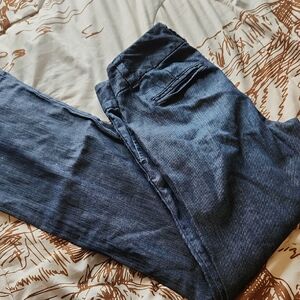 Stylish Blue Pants Trouser